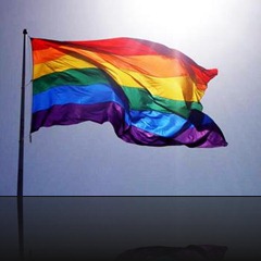 polls_miami_gay_pride_rainbow_flag_2_1350_250361_answer_10_xlarge polls_miami_gay_pride_rainbow_flag_2_1350_250361_answer_10_xlarge