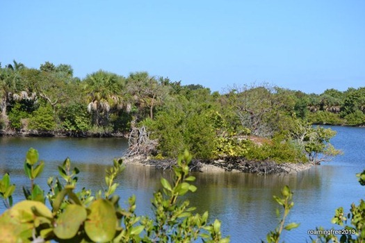 Shell Island - No alligators today