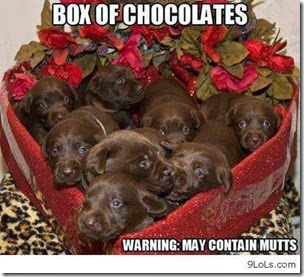 box of chocolates3