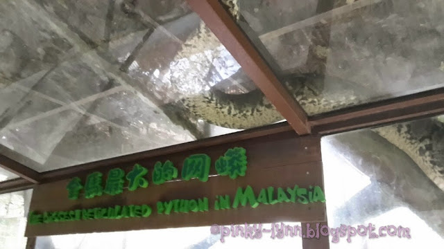 Bawa Anak Kenali Haiwan Secara Dekat di Farm In The City, Seri Kembangan Bawa Anak Kenali Haiwan Secara Dekat di Farm In The City, Seri Kembangan