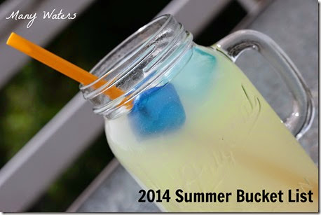 Many Waters 2014 Summer Bucket List
