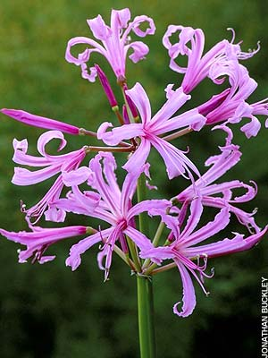 [image%255B91%255D.png]