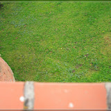 Blick von der Burgmauer aufs Vorfeld