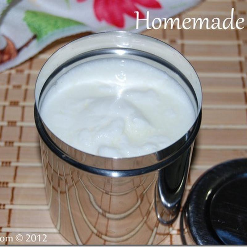 Homemade curd / plain yogurt