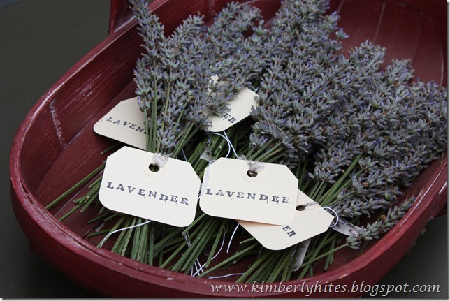 lavender_idea