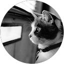 neyda alarcons profile picture