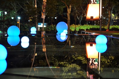 DSC_0205.JPG