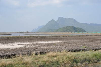 DSC_0796.JPG