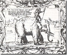 Subhro - El viaje del elefante