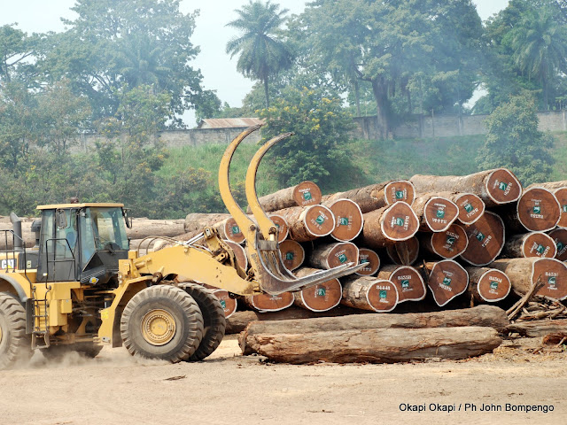 Un engin prêt à transporter des grumes provenant de la forêt équatoriale en RD Congo pour une exportation. Radio Okapi / Ph. Bompengo