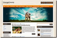 orangecounty-blogger-theme-478x316