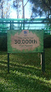 30,000th Tree Planted Marker 