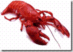 lobster_001sm2