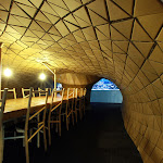 pupa05.jpg