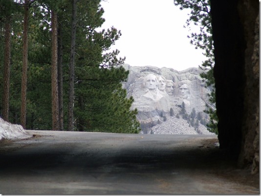 Through Tunnel - National Parks Image