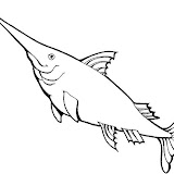 WORD-SEA.jpg