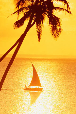 Iphone-wallpaper-7