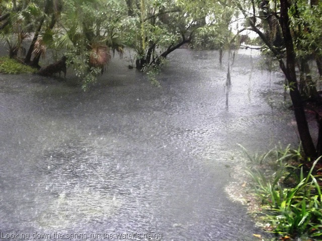 [Runnin%2527%2520in%2520the%2520rain%2520035.jpg]