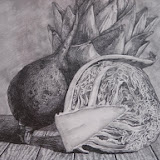 4_redcabbage_observationdrawing.JPG
