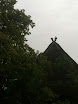 IMG_1553.jpg