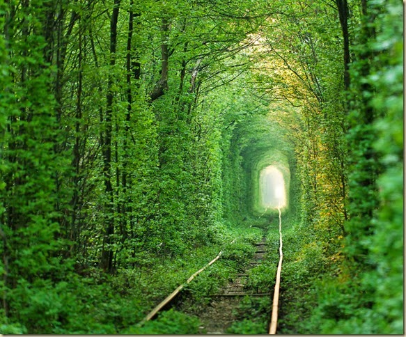 tunnel_of_love