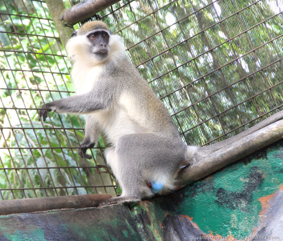 [Langkawi145%255B4%255D.jpg.webp]