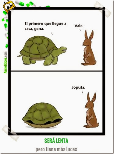 humor tortugas (35)