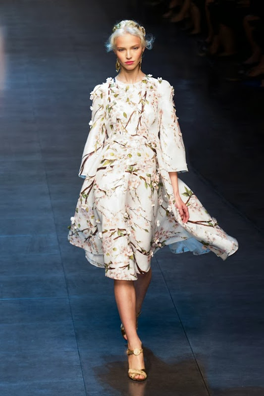 Dolce Gabbana Spring 2014 1