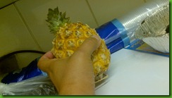 pineapple (1)