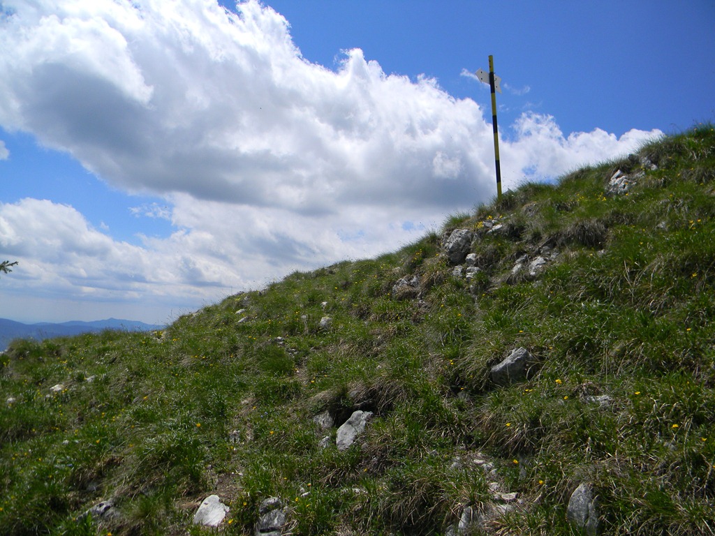 [DSCN21873.jpg]