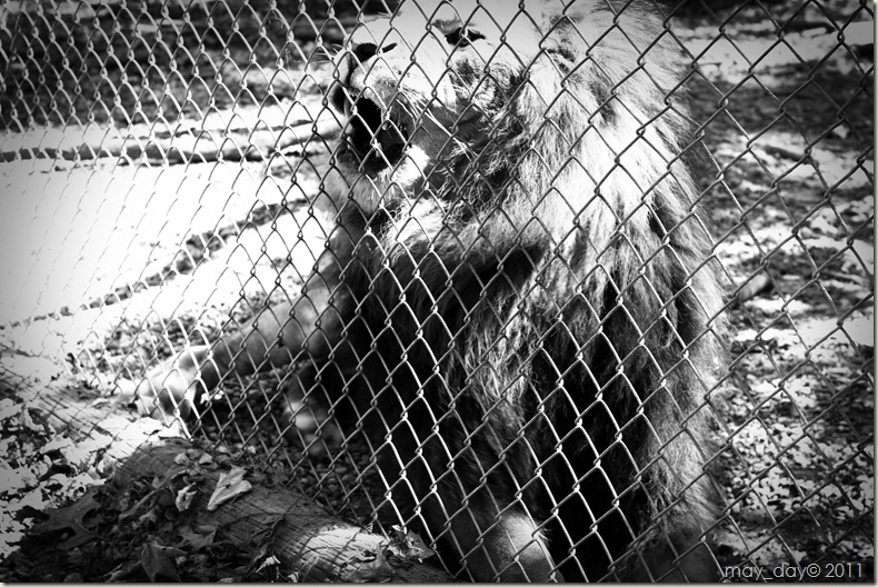 IMG_8940-2 BW IMG_8940-2 BW