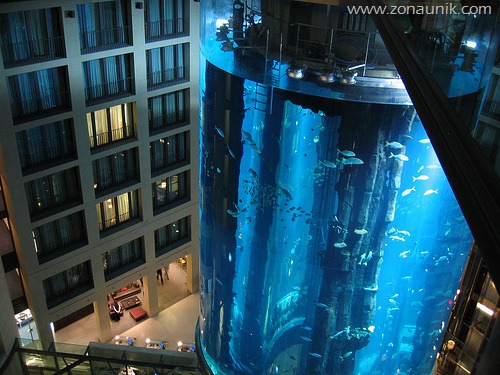 [aquadom-berlin%255B3%255D.jpg]