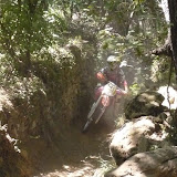 Pogli - By Alessandro Bottani