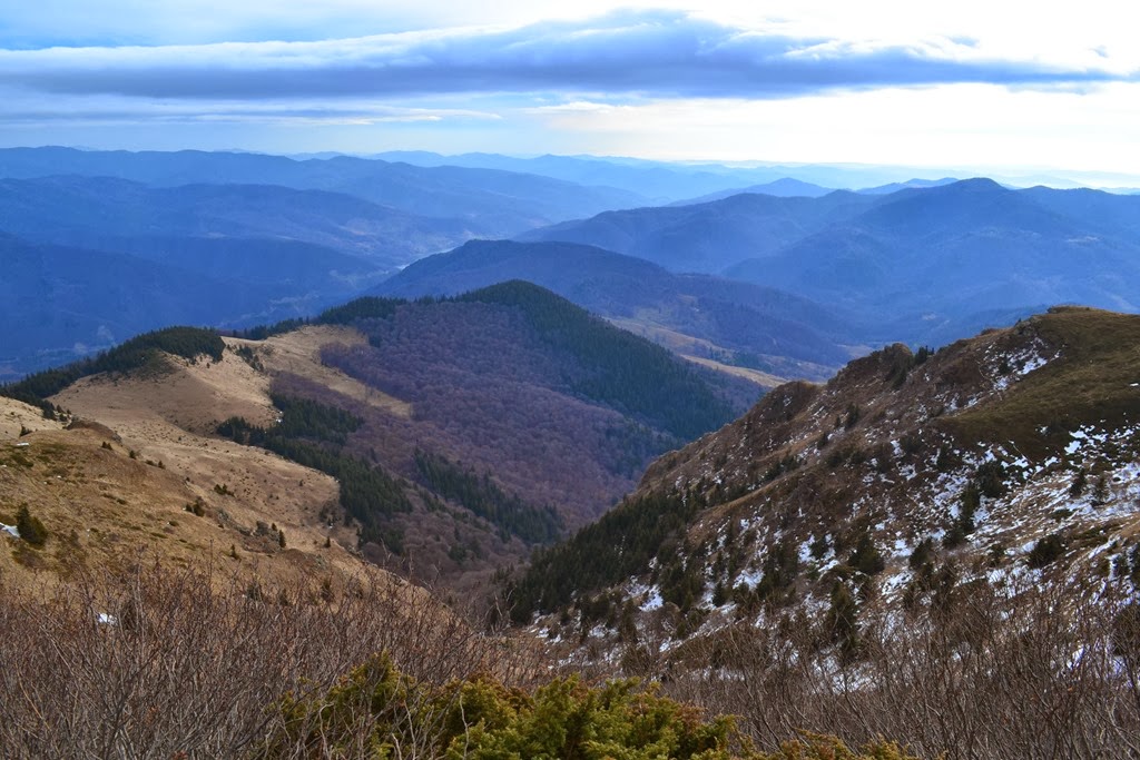 [DSC_05953.jpg]