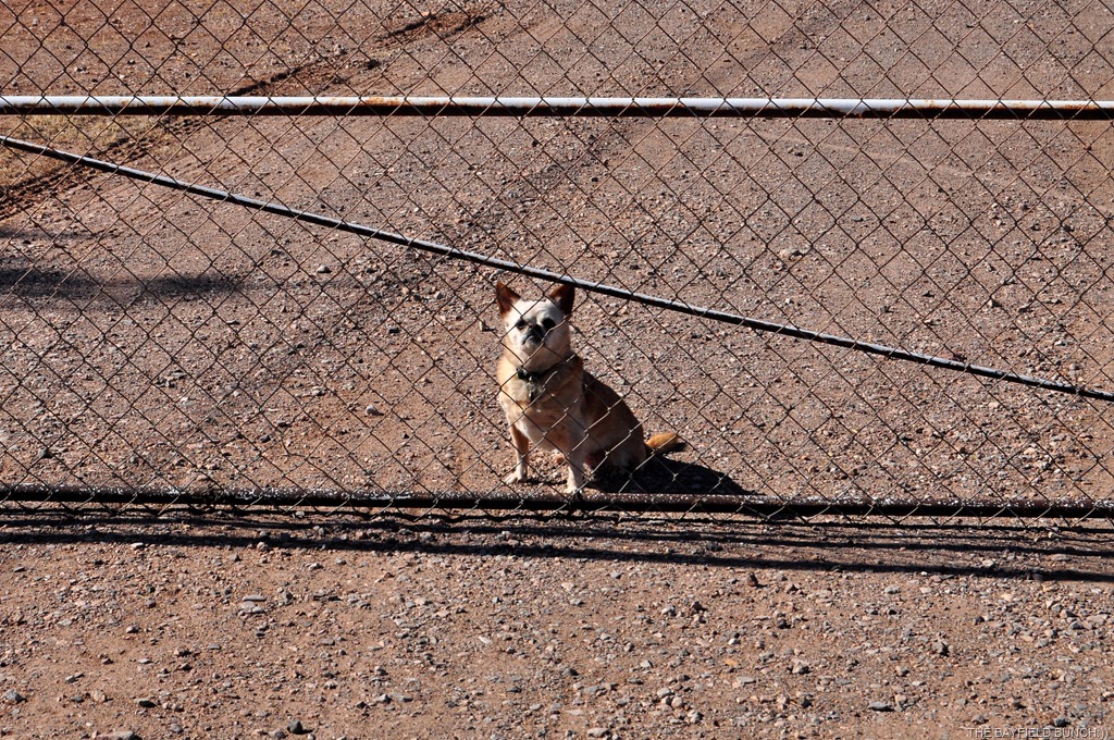 [DSC_0001%255B4%255D.jpg]