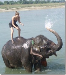 elephant-bathing-in-chitwan-national-park elephant-bathing-in-chitwan-national-park