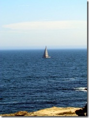 Sailing in Acadia