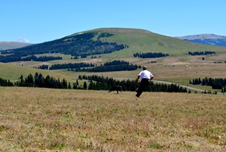 playtime with Roger and Jackson in the Bighorn Mountains