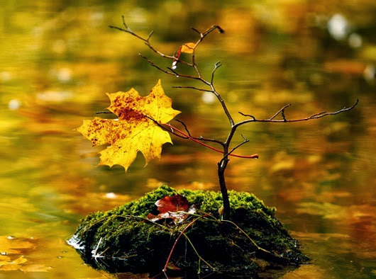 herbst-am-see