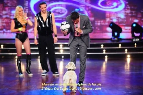 Marcelo se divierte con el perro de Nicole.JPG