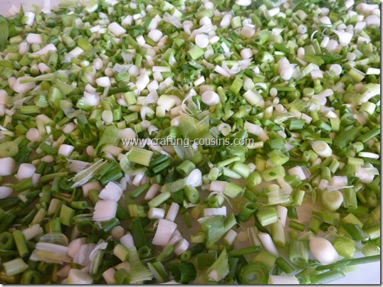 How to prepare green onions for the freezer.  Tips from the Crafty Cousins (13)