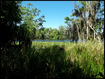 Manatee and Black Bear Trail 119