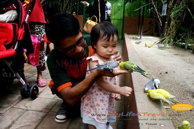 Langkawi Wildlife Park Langkawi Wildlife Park