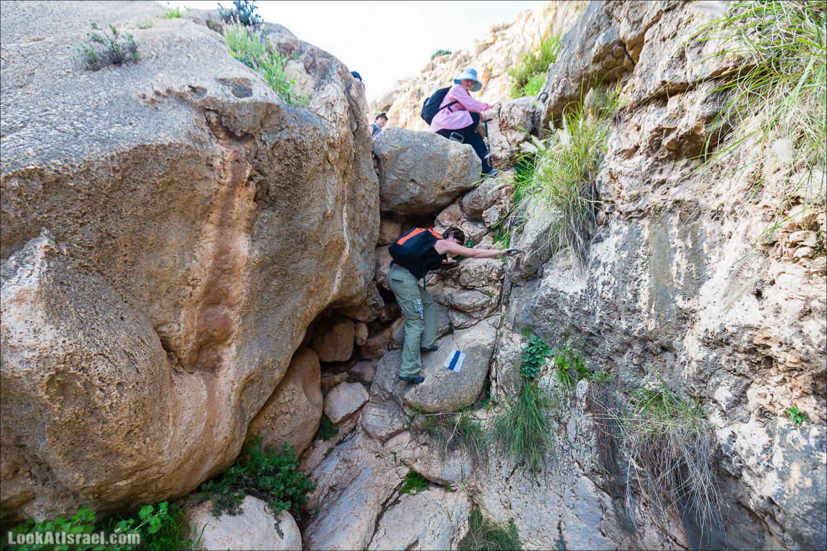 LookAtIsrael.com - Ручей (нахаль) Талкид | Nahal Talkid | נחל תלקיד
