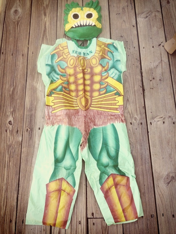 Masters Of The Universe Costumes