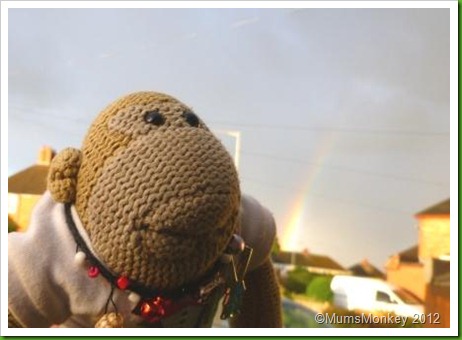 monkey and rainbow