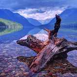 Memories at Bowman Lake by Jaki Miller -  