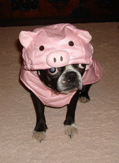 [9abd3d99c4cca98b38275e8e2f7548f2e7314d78%255B4%255D.jpg]