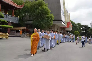 Làm ơn chấm dứt trò phóng sinh Làm ơn chấm dứt trò phóng sinh