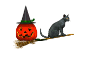 cat-flying-broom.gif